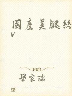 国产美腿丝袜av封面