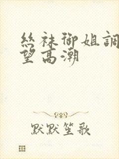丝袜御姐调教绝望高潮