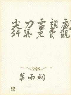 尖刀电视剧全集34集免费观看
