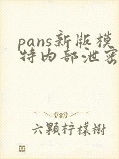 pans新版模特内部泄密精品私拍大尺度