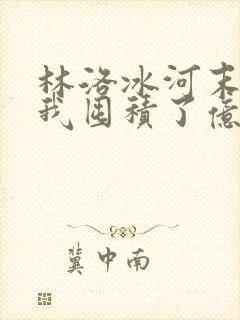 林洛冰河末世:我囤积了亿亿万物资封面