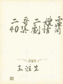 二哥二嫂电视剧40集剧情简介