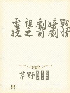 电视剧暗战在拂晓之前剧情介绍