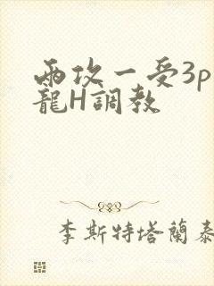 两攻一受3p双龙H调教