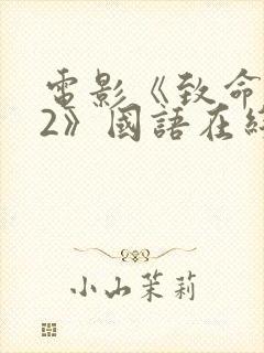 电影《致命黑兰2》国语在线播放