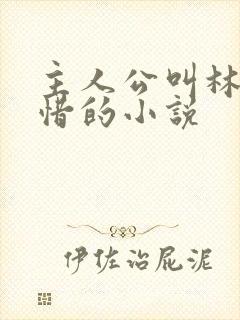 主人公叫林凡叶惜的小说