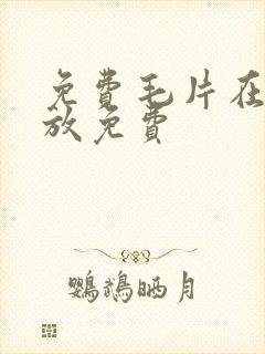 免费毛片在线播放免费