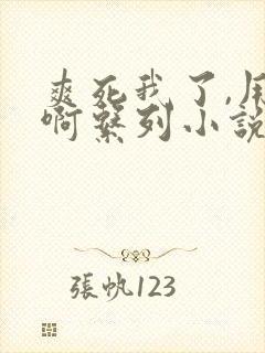 爽死我了,用力啊系列小说