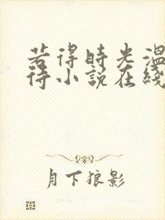 若得时光温柔以待小说在线阅读