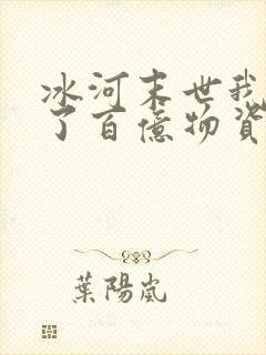 冰河末世我囤积了百亿物资