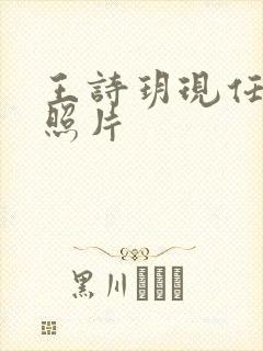 王诗玥现任丈夫照片