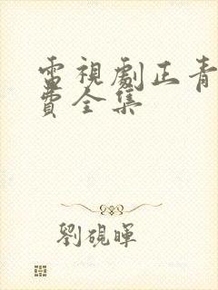 电视剧正青春免费全集