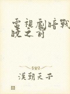 电视剧暗战在拂晓之前封面