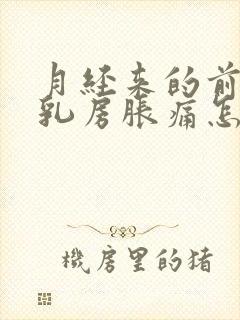 月经来的前几天乳房胀痛怎么办