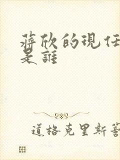 蒋欣的现任丈夫是谁