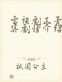 电视剧正青春分集剧情介绍