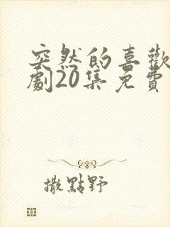 突然的喜欢电视剧20集免费观看