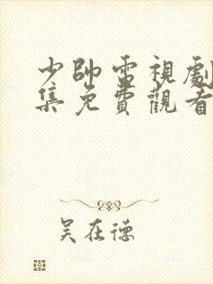 少帅电视剧48集免费观看高清封面