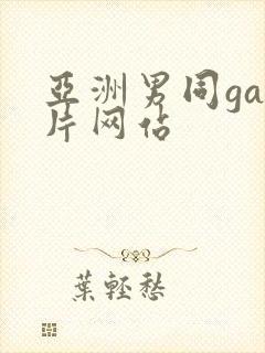 亚洲男同gay片网站