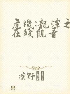 危机:龙潭之战在线观看封面