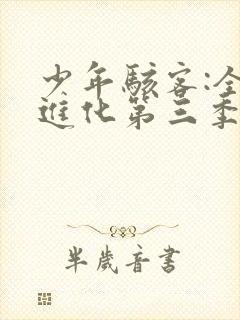 少年骇客:全面进化第三季