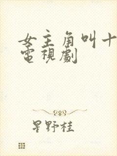 女主角叫十七的电视剧封面