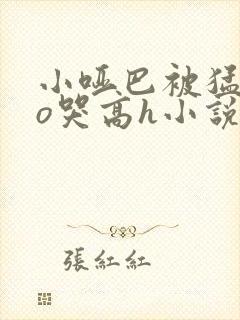 小哑巴被猛cao哭高h小说在线阅读