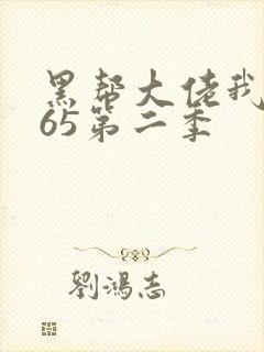 黑帮大佬我的365第二季