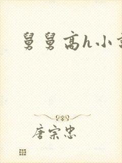 舅舅高h小说封面