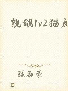 觊觎1v2猫丸封面
