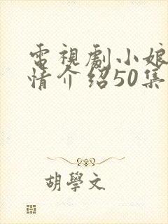 电视剧小娘惹剧情介绍50集