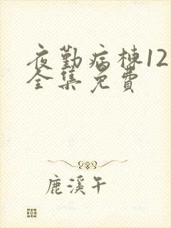 夜勤病栋12集全集免费