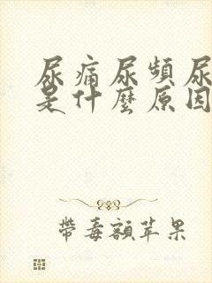 尿痛尿频尿不尽是什么原因