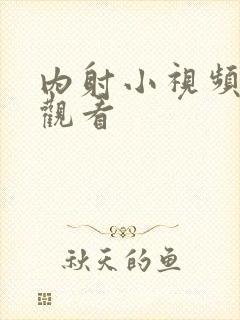 内射小视频在线观看