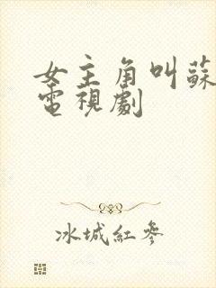 女主角叫苏曼的电视剧封面