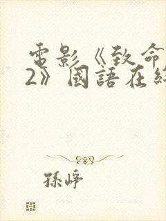 电影《致命黑兰2》国语在线播放