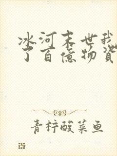 冰河末世我囤积了百亿物资完整版