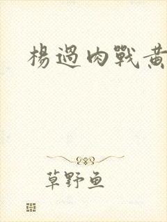 杨过肉战黄蓉