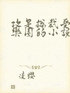 攻是总裁受是娱乐圈的小说封面