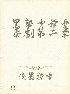 黑帮少爷爱上我泰剧第二季叫什么封面