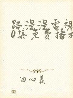 路漫漫电视剧40集免费播放