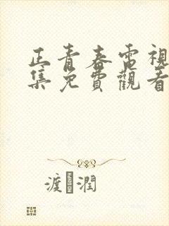 正青春电视剧全集免费观看