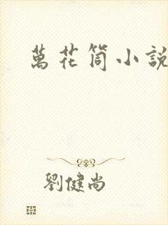 万花筒小说封面