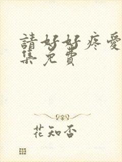 请好好疼爱第5集免费