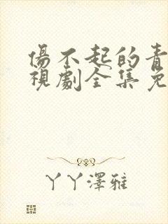 伤不起的青春电视剧全集免费观看