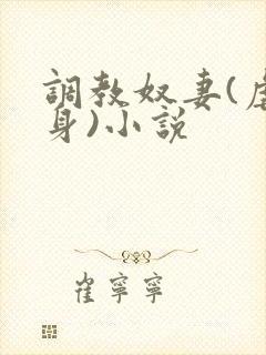 调教奴妻(虐女身)小说封面