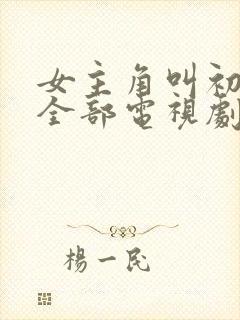 女主角叫初夏的全部电视剧封面