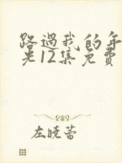 路过我的年少时光12集免费观看