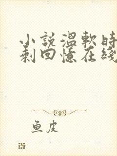 小说温软时光只剩回忆在线阅读