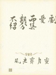不期而爱剧情介绍分集